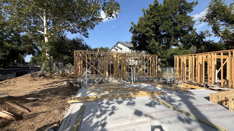 Framing from the street corner with heritage trees