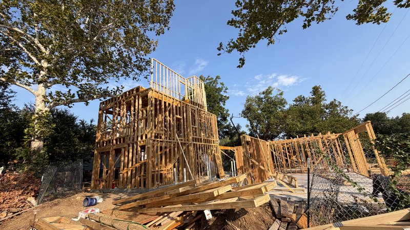 Home 1 third-floor walls rising above the trees, Homes 2 and 3 framed behind