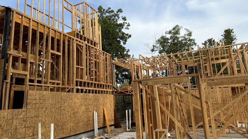 Ella walking the lane between the three framed homes