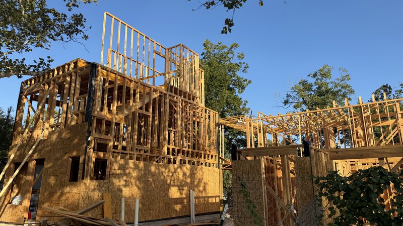 Window openings cut into Home 1's sheathing, roof trusses on Homes 2 and 3
