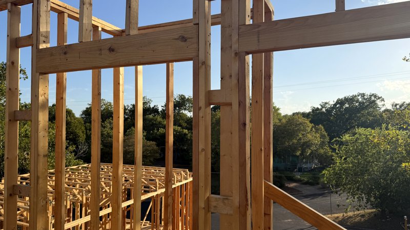 The treetop view through an upper-floor framed window opening