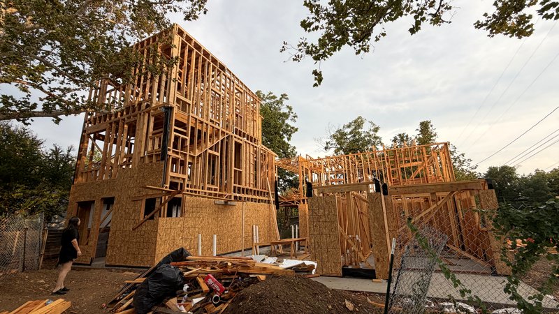 Golden-hour view of all three homes, sheathed and framing out their roofs